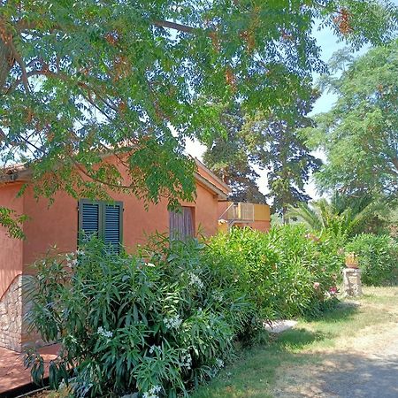 Il Giogo Agriturismo Rosignano Marittimo Zewnętrze zdjęcie