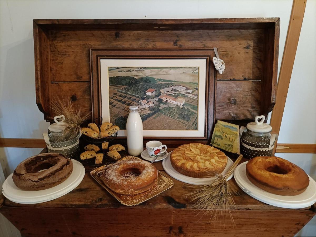 Il Giogo Agriturismo Rosignano Marittimo Zewnętrze zdjęcie