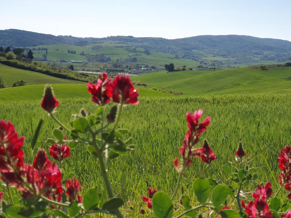 Willa Il Giogo Agriturismo Rosignano Marittimo Zewnętrze zdjęcie