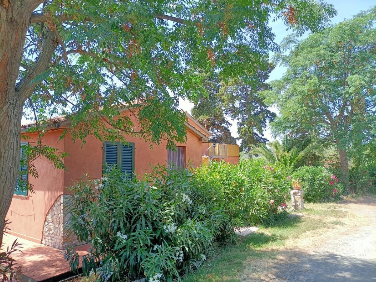 Il Giogo Agriturismo Rosignano Marittimo Zewnętrze zdjęcie