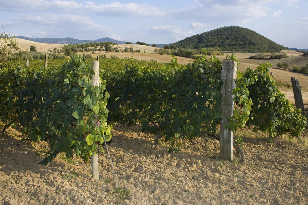 Il Giogo Agriturismo Rosignano Marittimo Zewnętrze zdjęcie