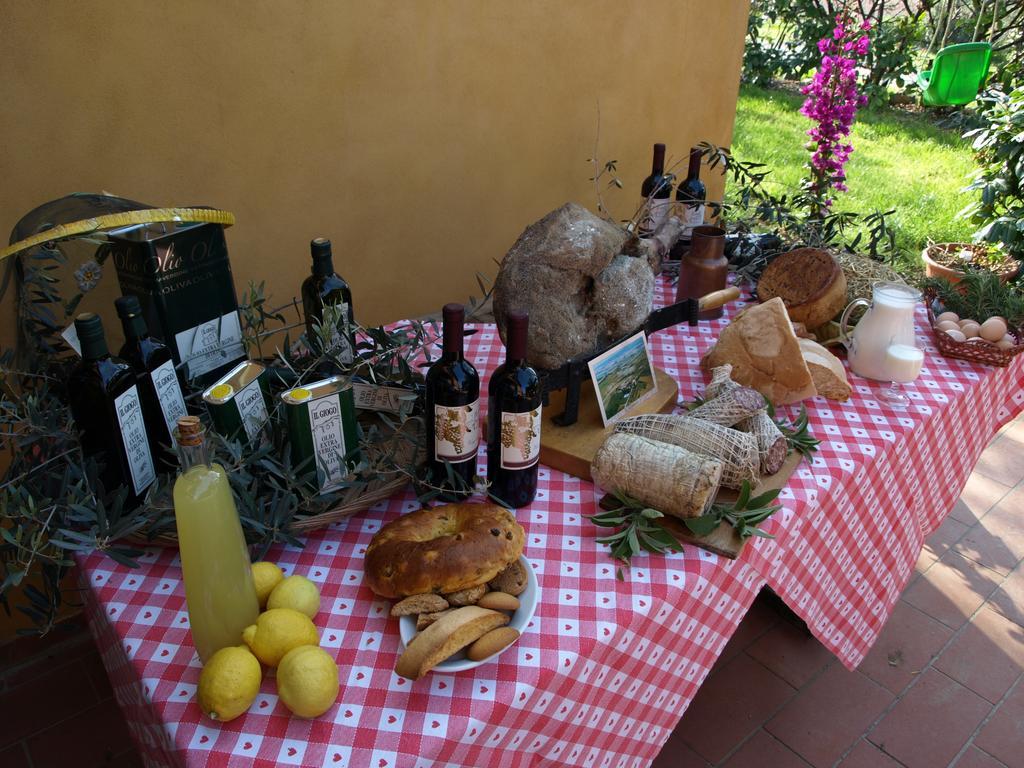 Il Giogo Agriturismo Rosignano Marittimo Zewnętrze zdjęcie
