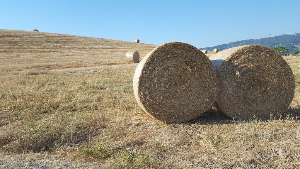 Willa Il Giogo Agriturismo Rosignano Marittimo Zewnętrze zdjęcie