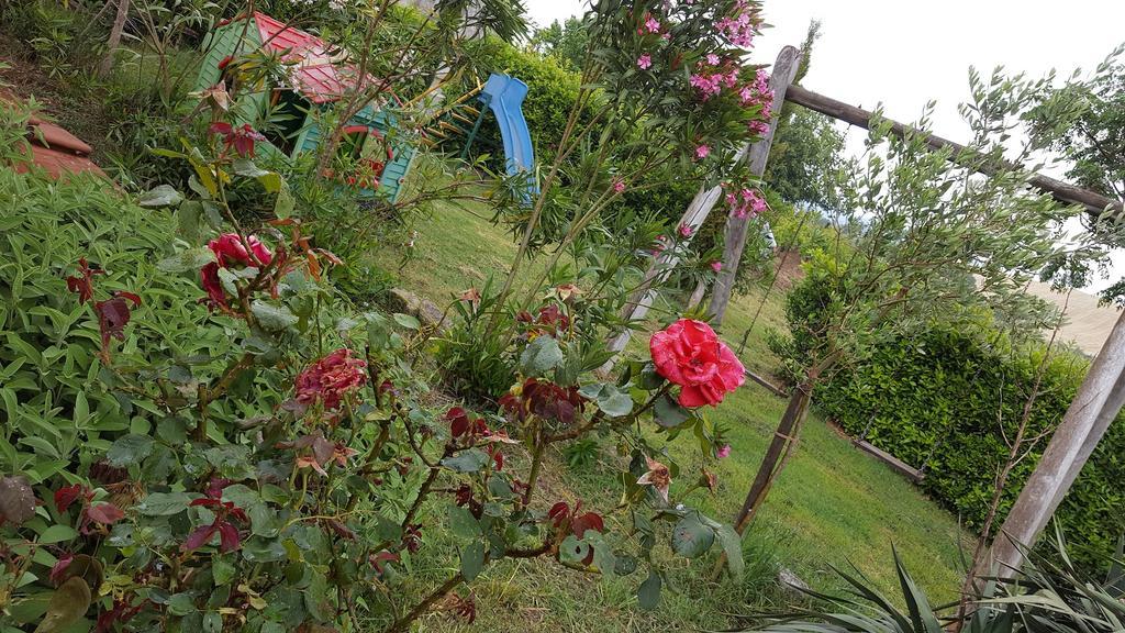 Il Giogo Agriturismo Rosignano Marittimo Zewnętrze zdjęcie