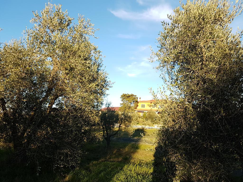 Il Giogo Agriturismo Rosignano Marittimo Zewnętrze zdjęcie